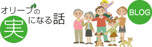 オリーブの実になる話
